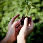 H_18_084_piccola (1)